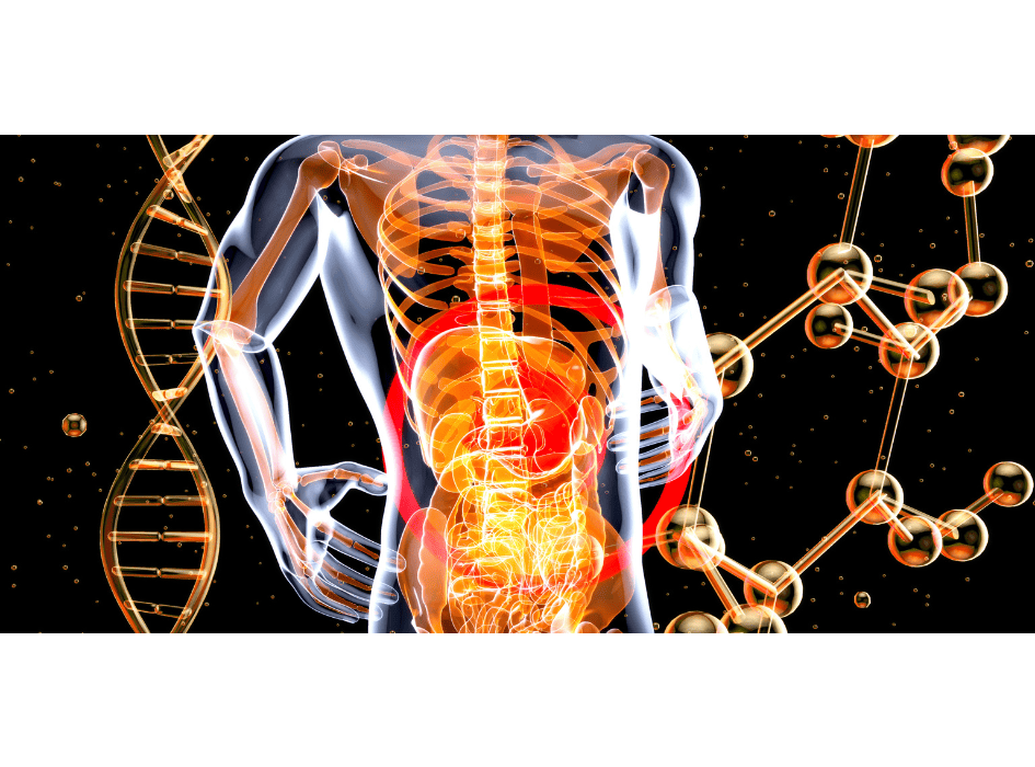 kislinsko-bazično ravnovesje